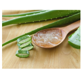Aloe Vera Gel Uses: How It Transforms Skin, Hair, and Scalp Naturally